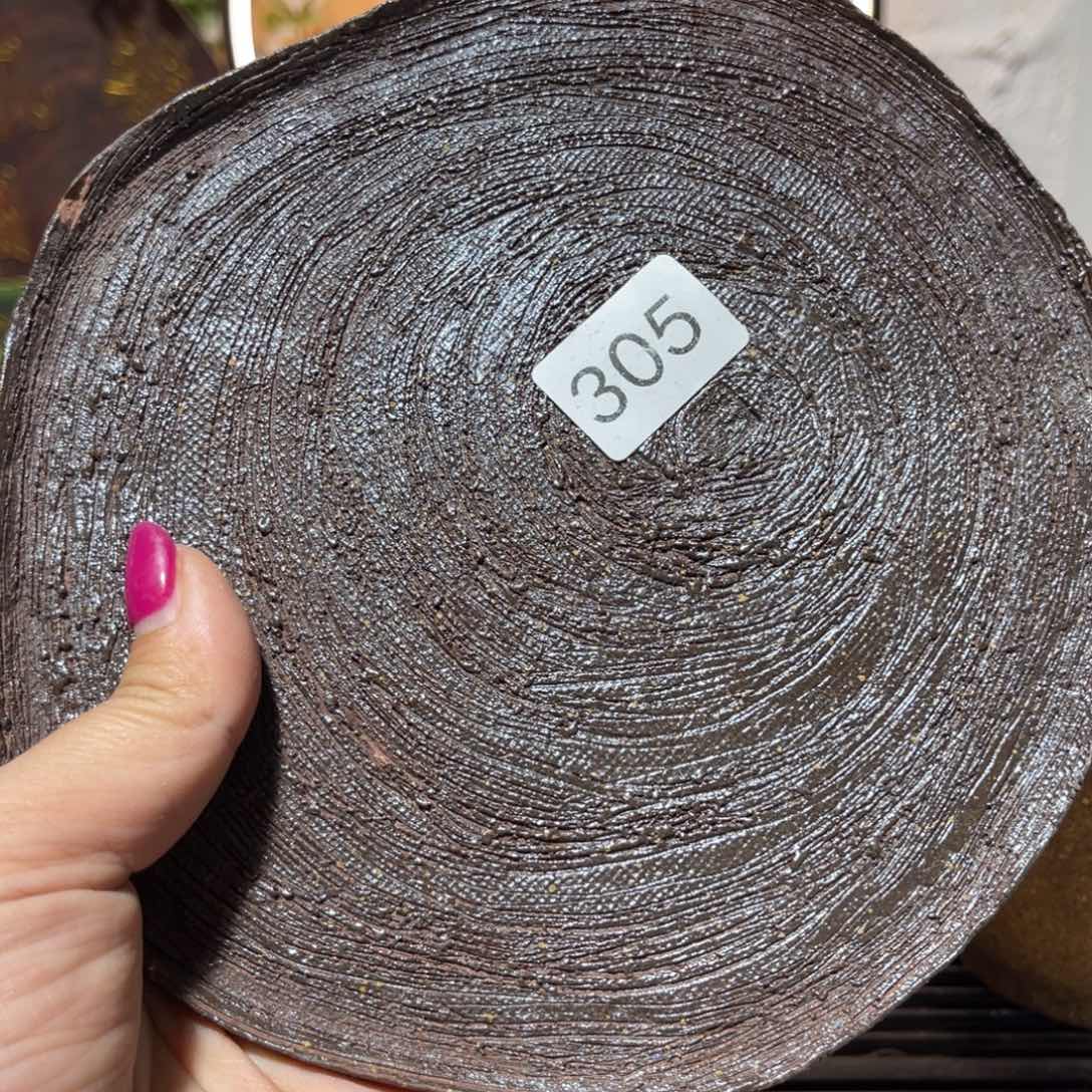 木村信弘柴烧保平