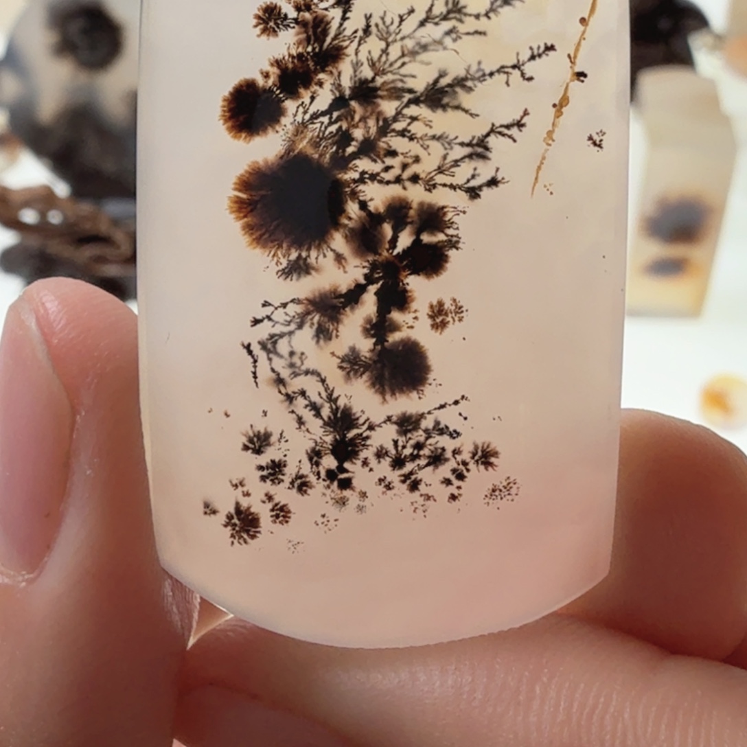 赵***.未镶嵌玛瑙/玉髓珠宝半成品