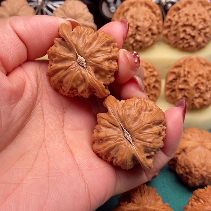 桃核吊坠白狮40+已打底