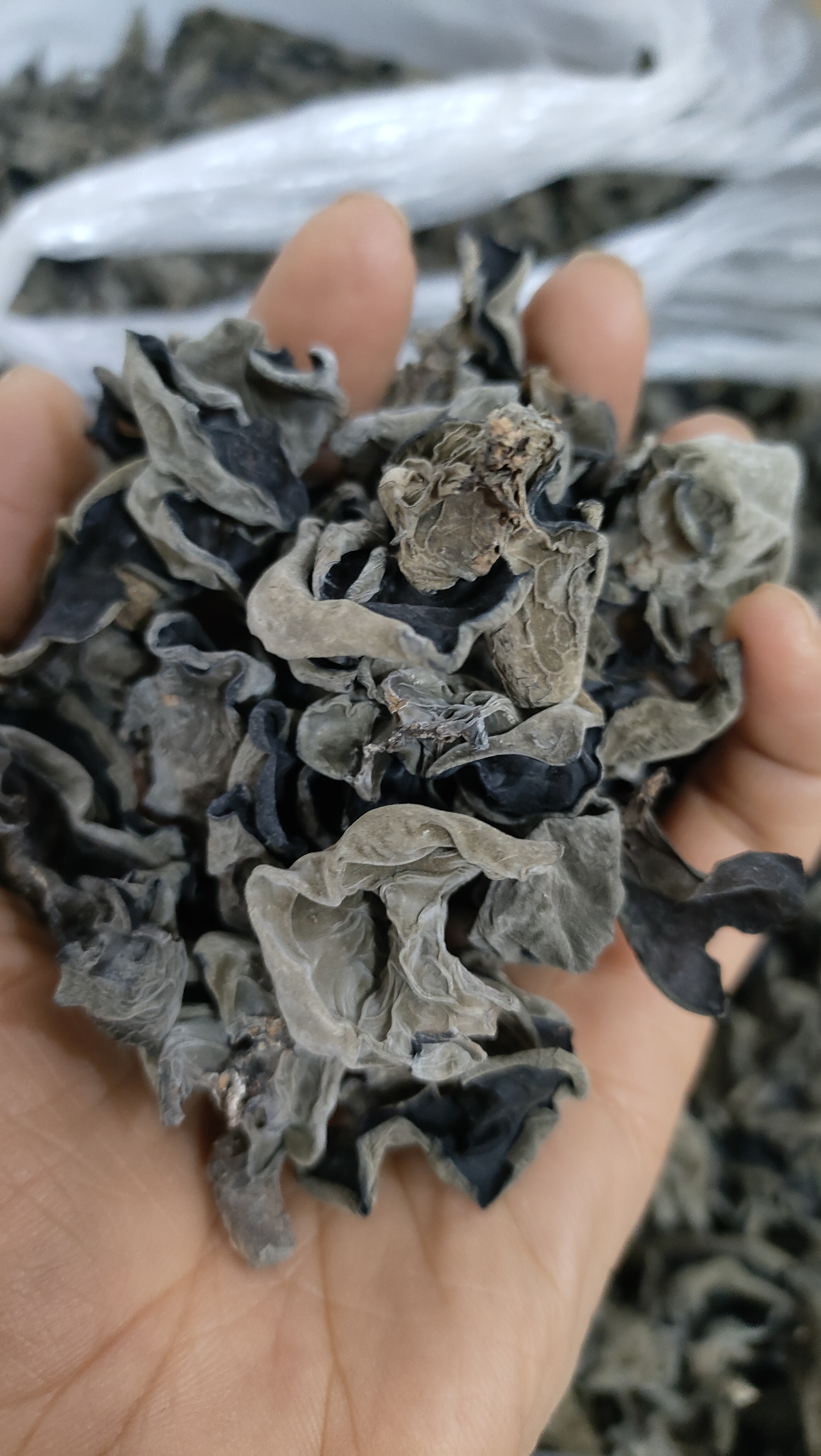 长白山木段木耳，口感软糯，炒肉煲汤木段木耳