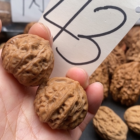 桃核吊坠36门头沟元宝