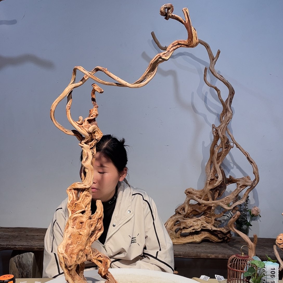 核桃木/黑胡桃（胡桃木）언****尼