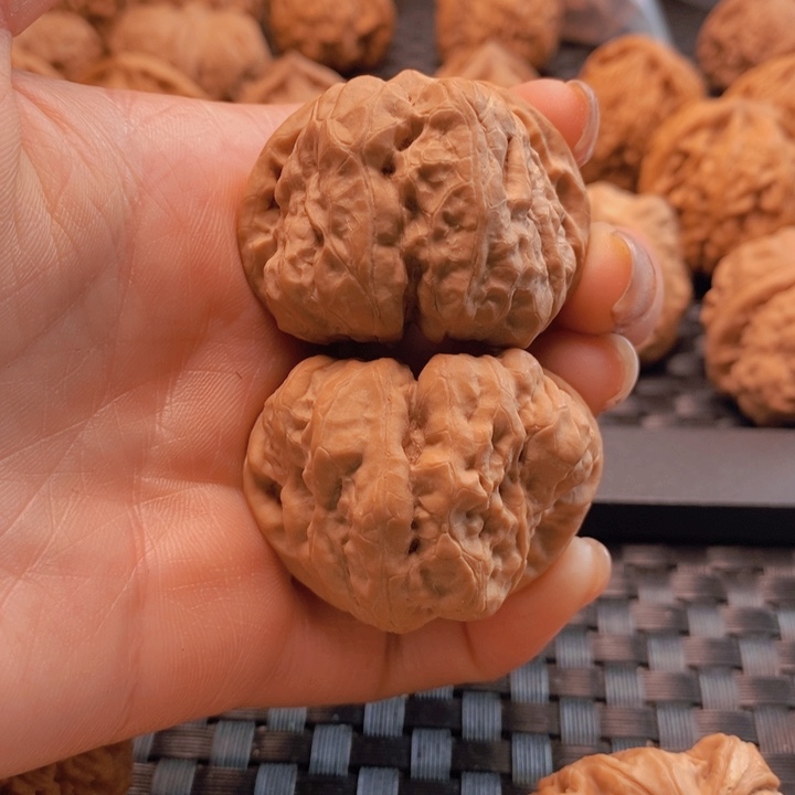 核桃手串/手链蛤蟆40