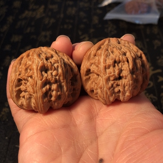 把件文玩核桃白狮子42mm