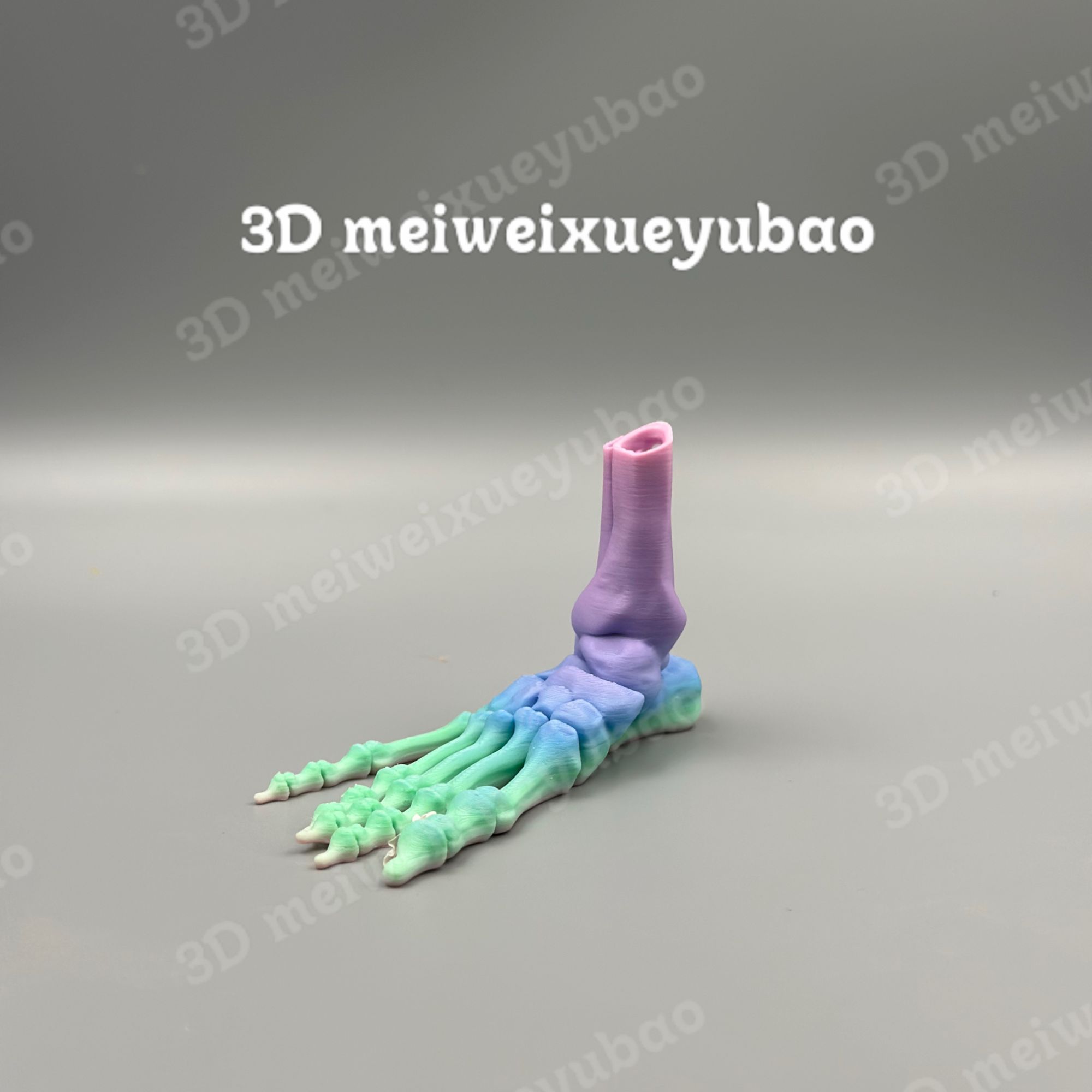 鳕鱼堡3D打印玩具（彩虹渐变马卡龙可爱脚脚脚趾骨可动）