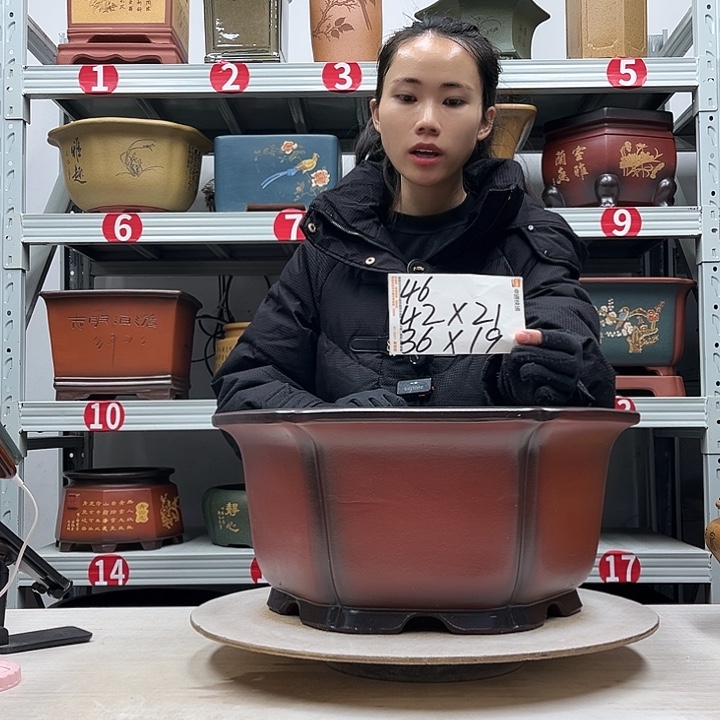 花盆紫砂紫砂花盆