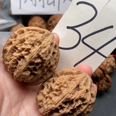 桃核吊坠43野牛核桃