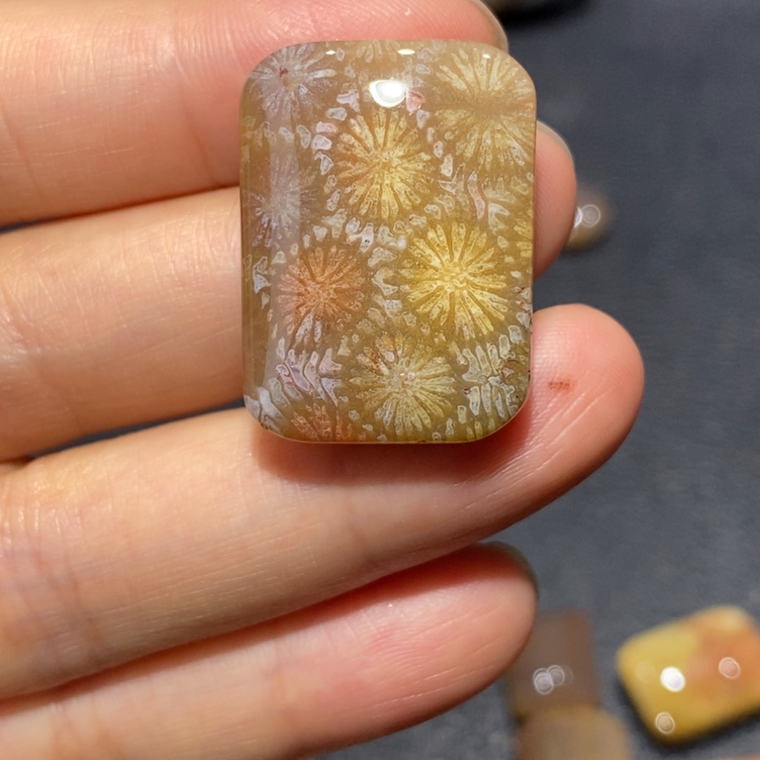 【闪购商品】未镶嵌珊瑚玉硅化玉