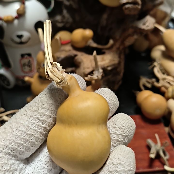 贝***利666666666666666666