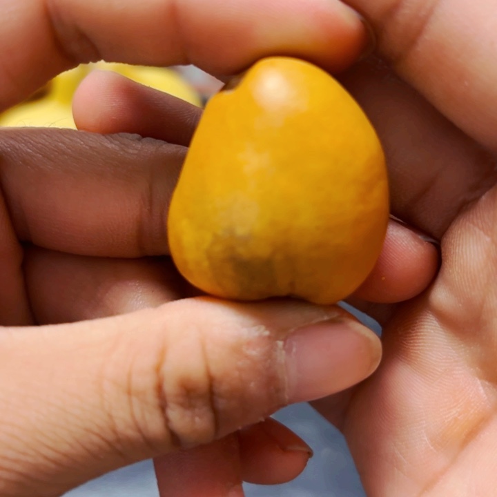 A****姐8888888888888888