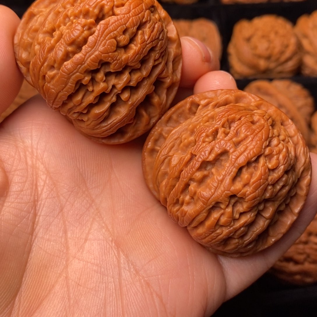 文玩核桃把件秦岭野生核桃