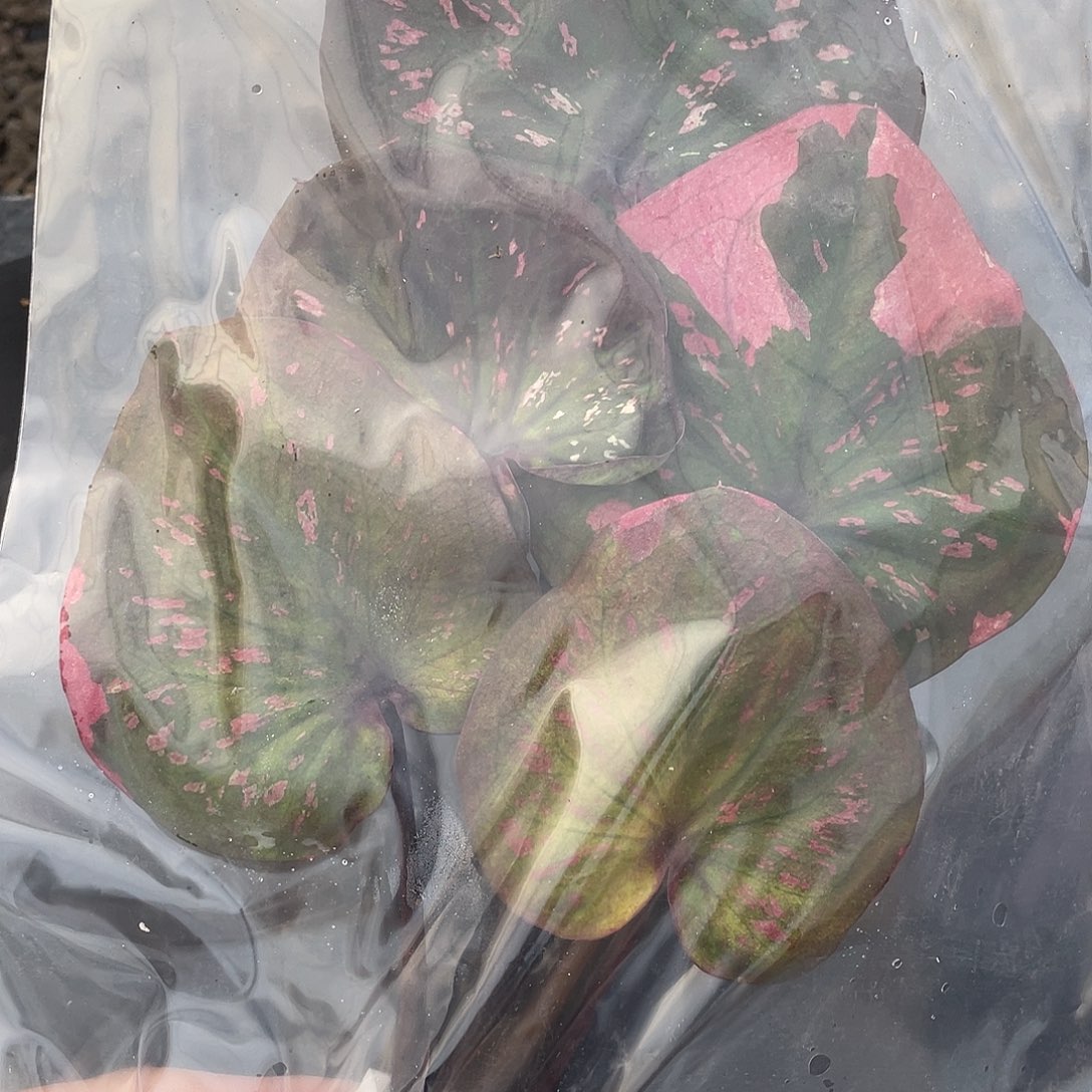 完全开放B47财富袋装