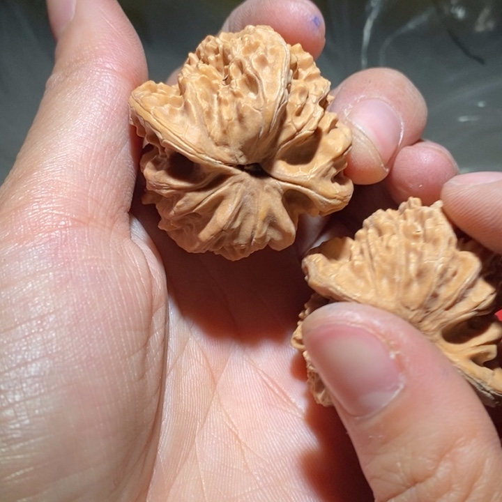 禹***丰吊坠文玩核桃精品课程等课程教学工作