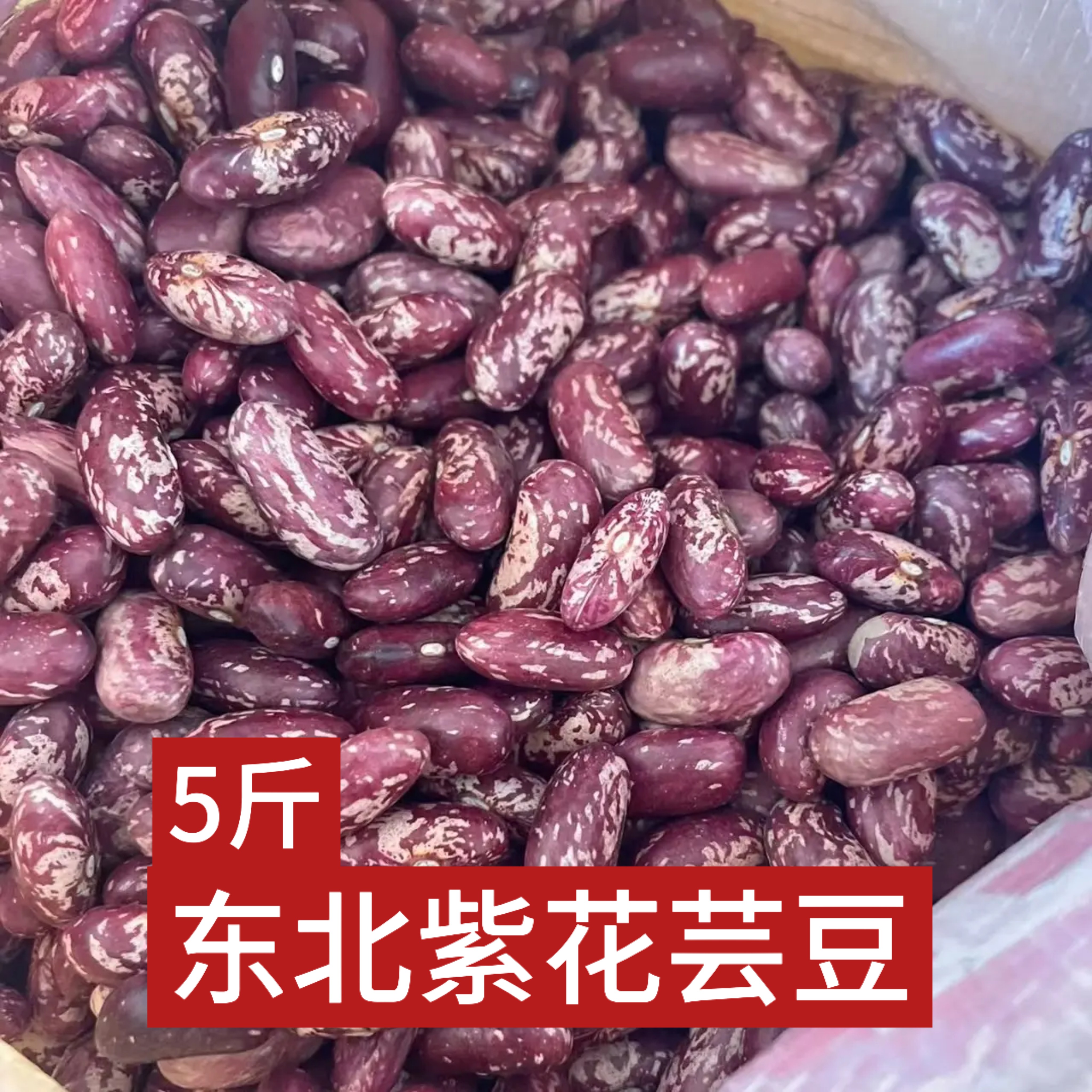 东北紫花芸豆黑龙江新芸豆 做豆馅焖饭玉米粥 