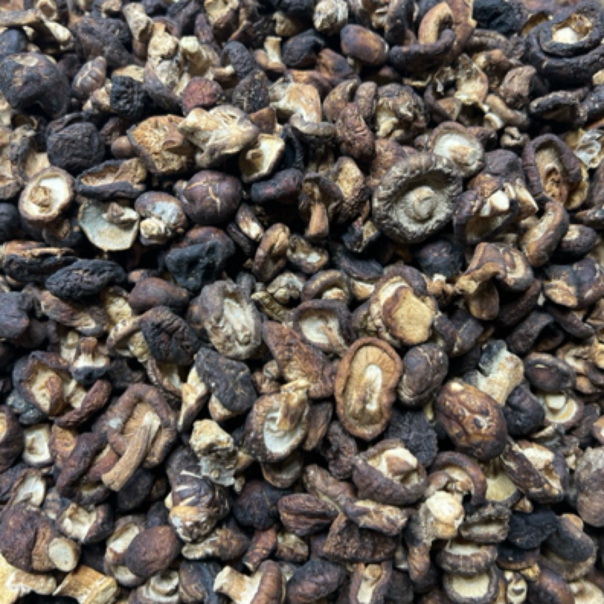 野生小香菇（云南高原特色山货）煲汤炖汤吃【喻村长精选】