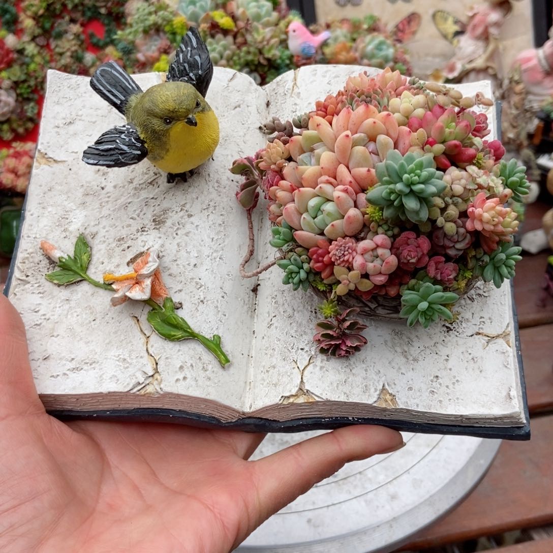 小鸟鸟窝成品带植物发货