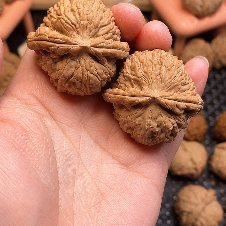 文玩核桃把件?****）白狮子