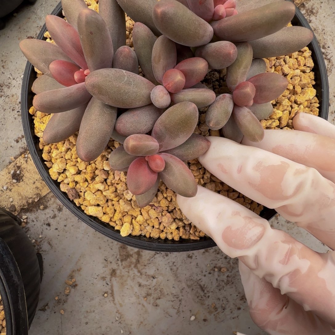 g g g g g g g g 121