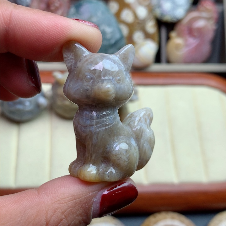 硅化珊瑚（珊瑚玉）颈饰未镶嵌