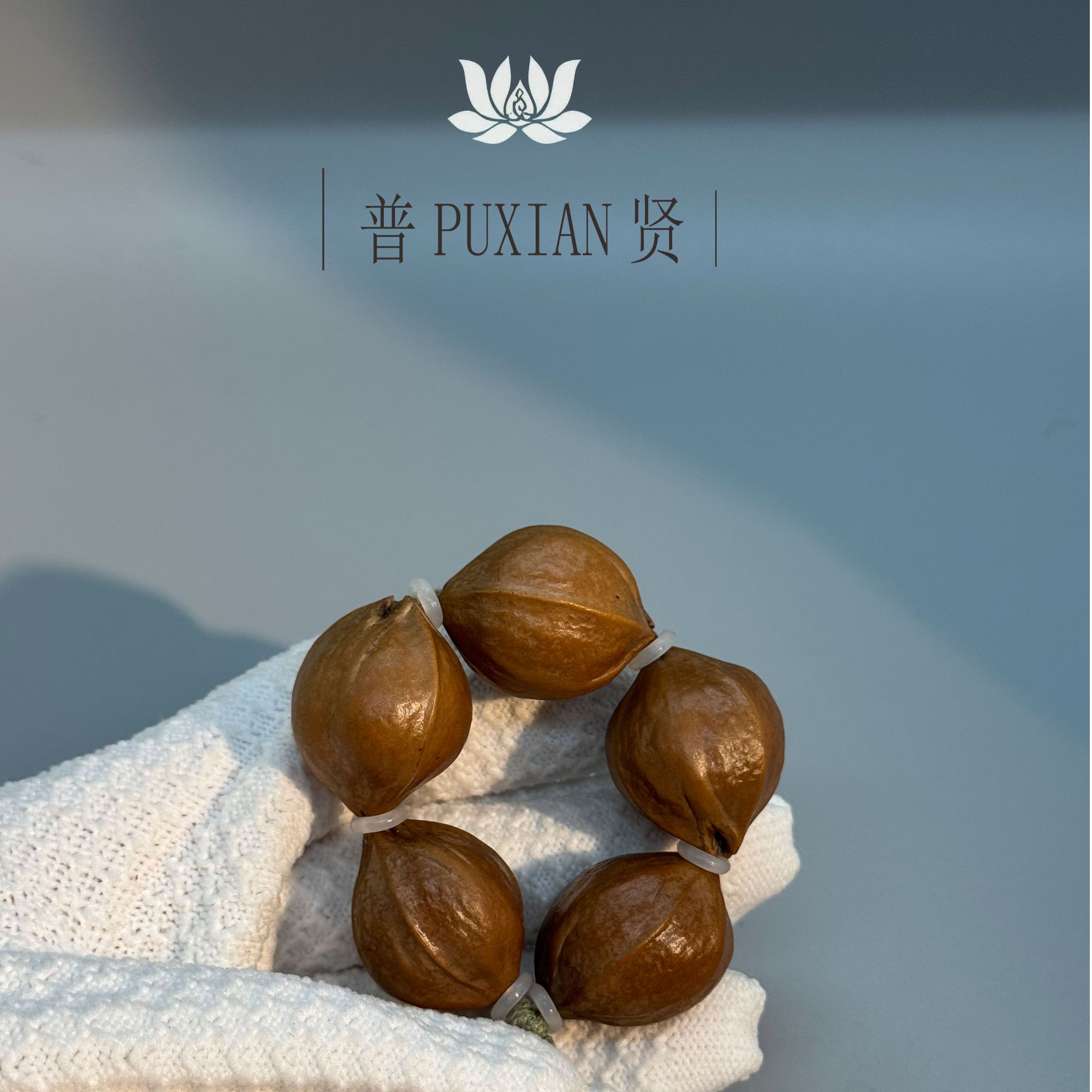 【慈悲喜舍】普贤PUXIAN手捻 22/28MM 原生态老树同料梅林铁核手串