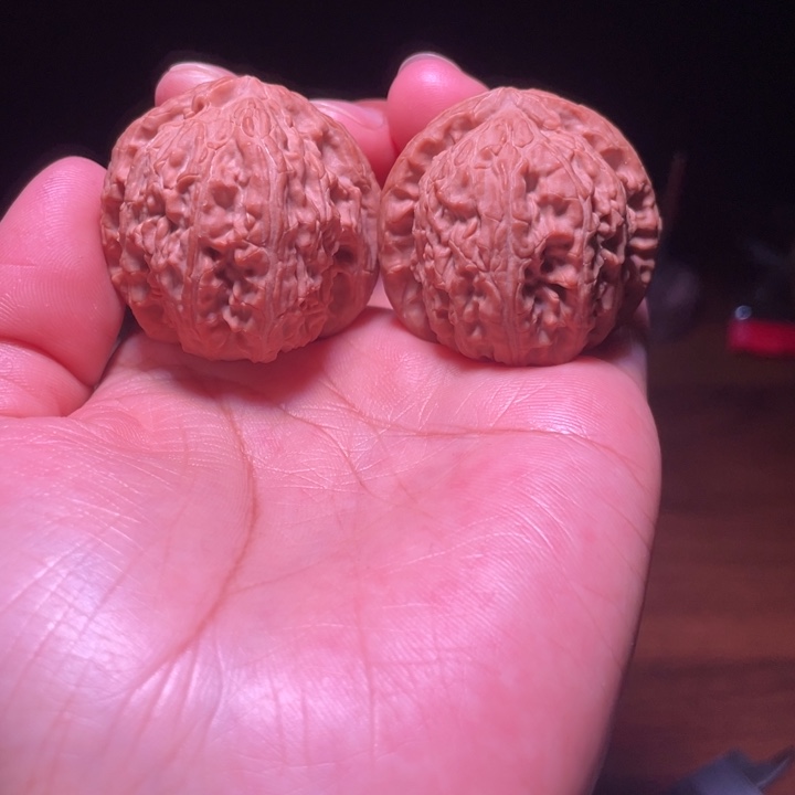 白狮子  小球白  38