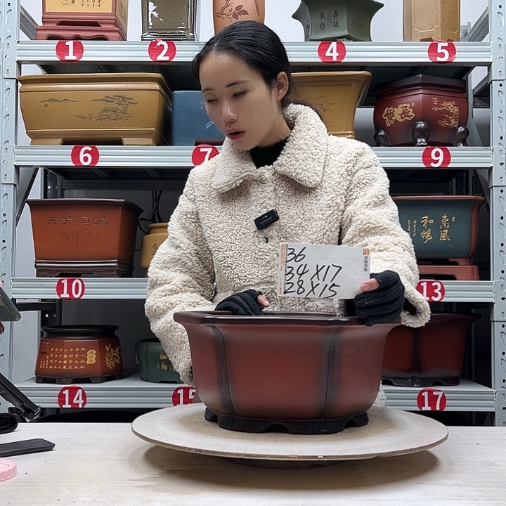 紫砂花盆紫砂花盆