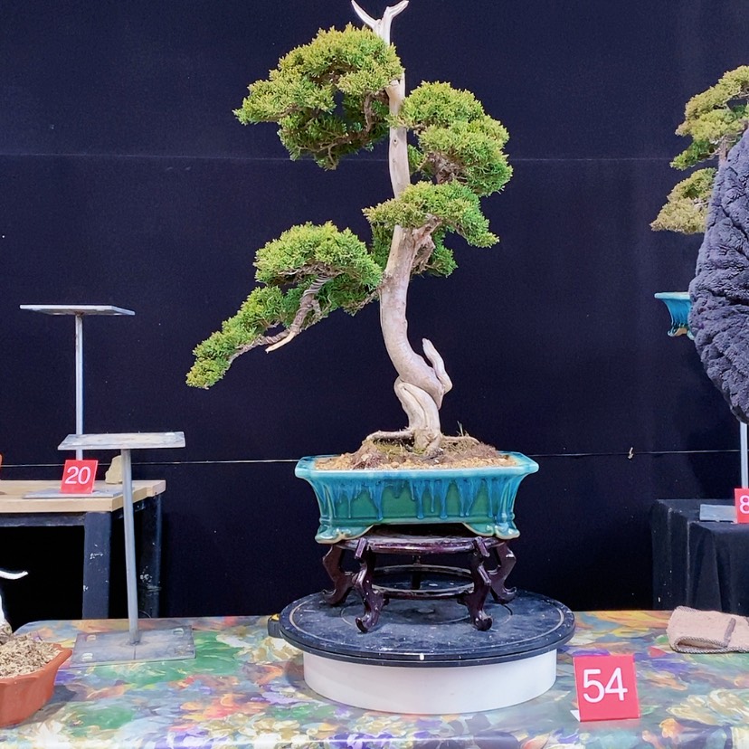 【闪购商品】完全开放用****9