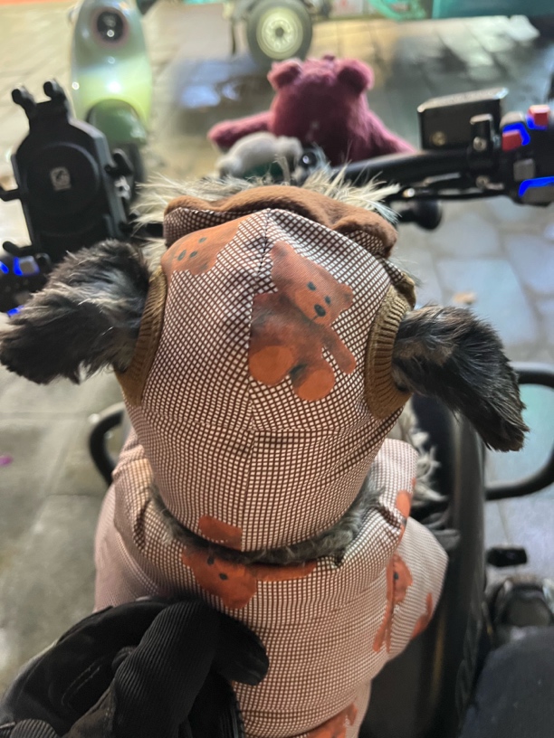 6号链接火车头宠物狗狗冬款两脚棉服带帽子款