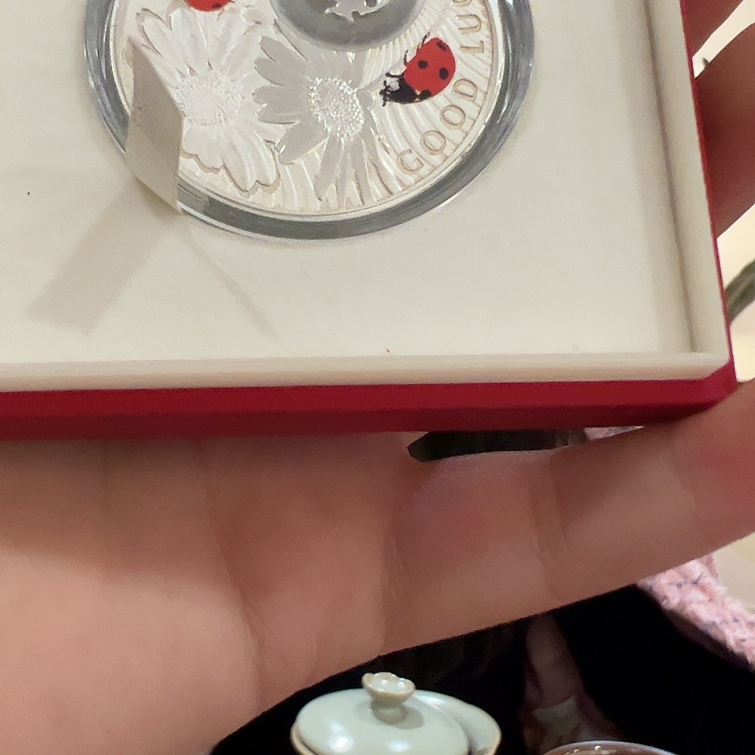 书法七星瓢虫纯银纪念章