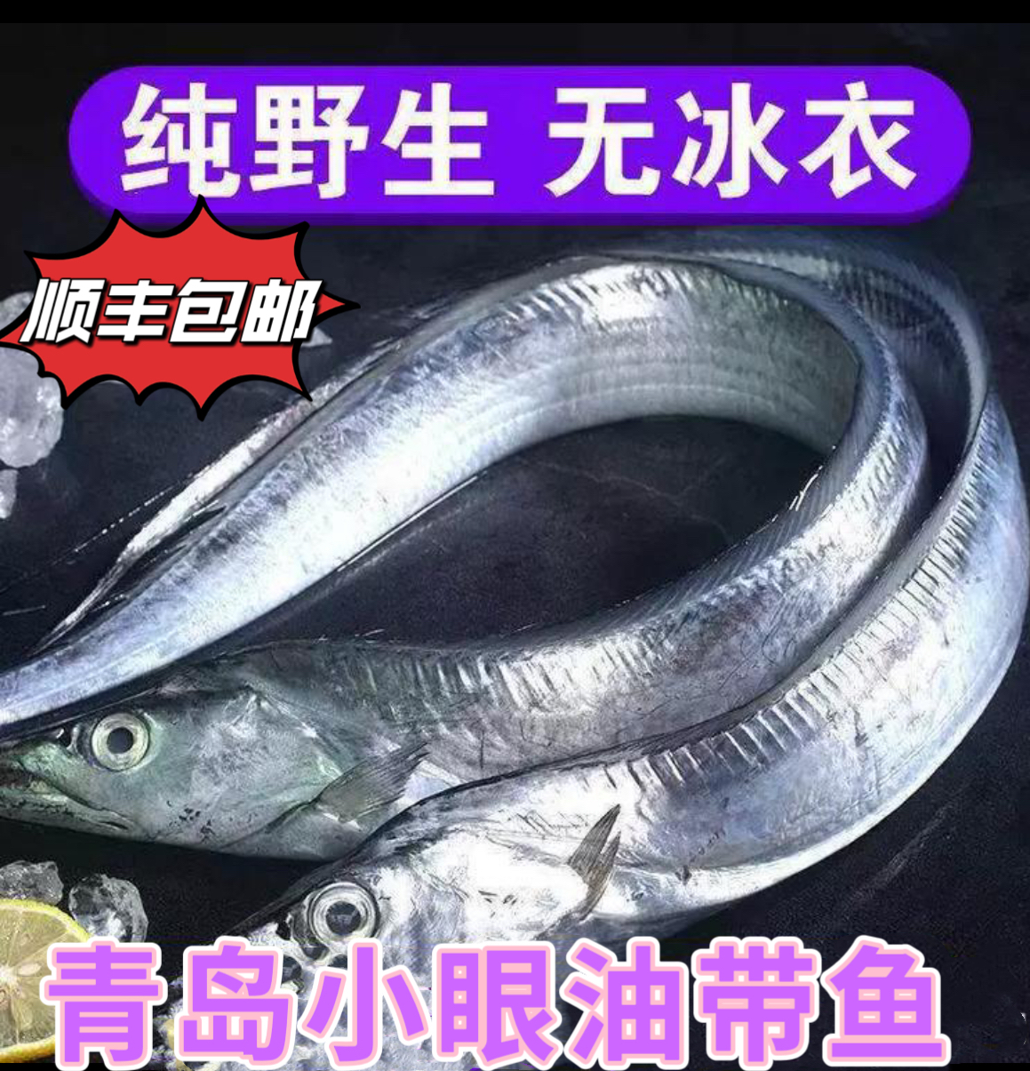 青岛本地正宗小眼油带鱼码头直供顺丰包邮