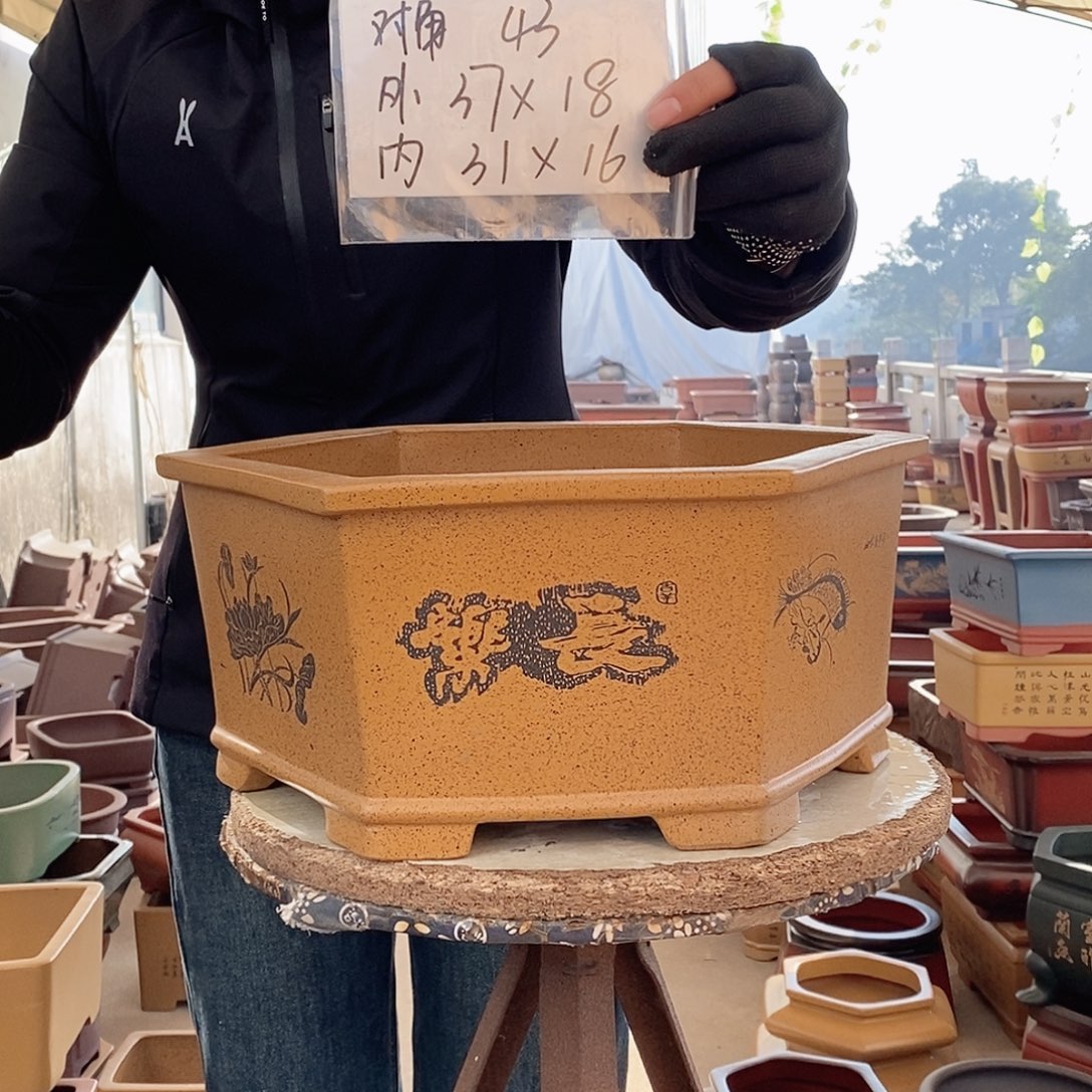 紫砂花盆紫砂花盆