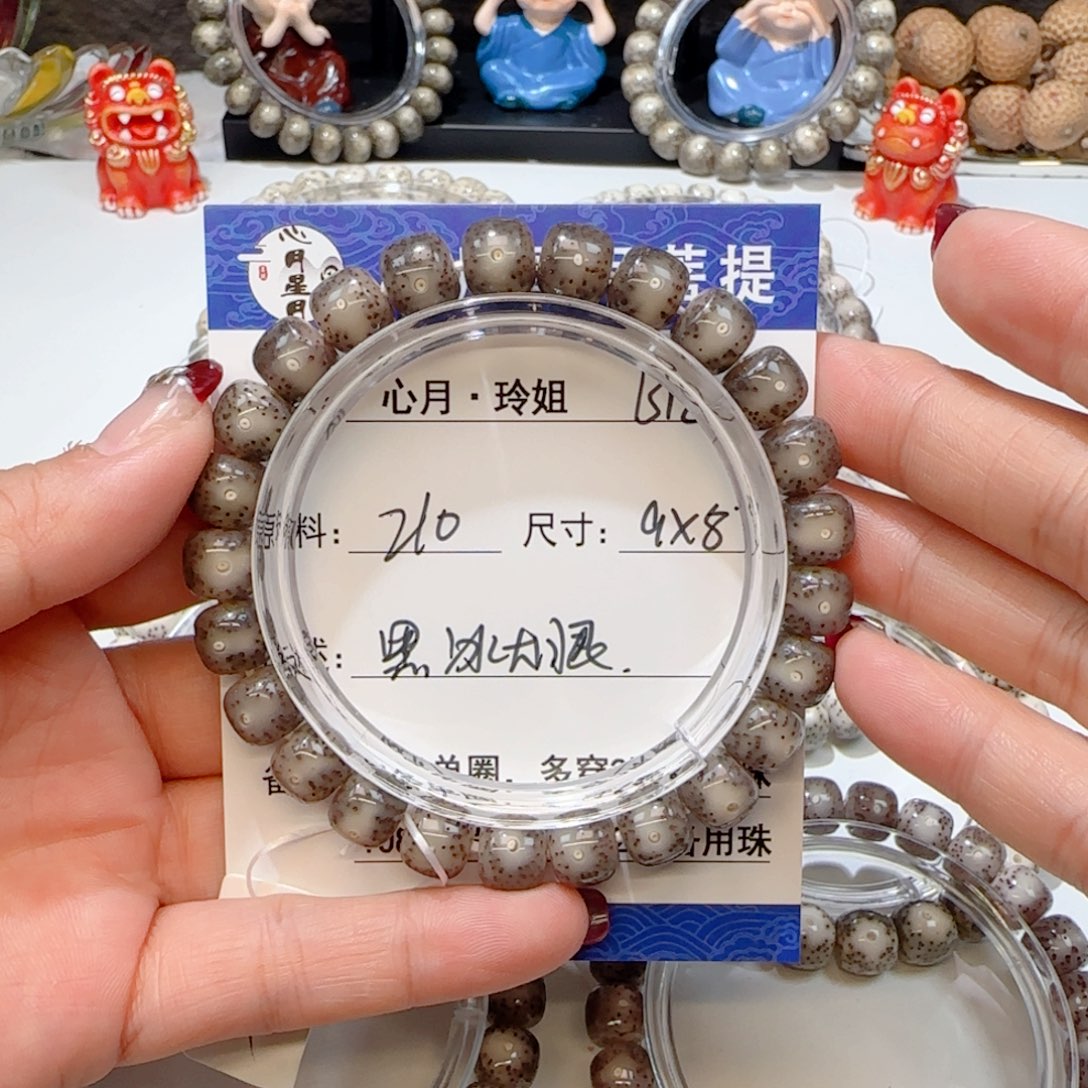 心月星月菩提一号B12