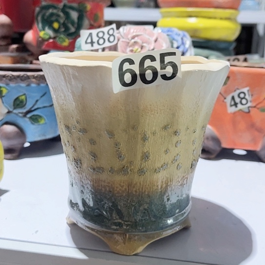 多肉植物花盆花盆