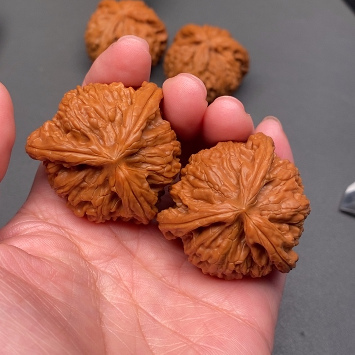 丶***想木质类核桃核桃核桃