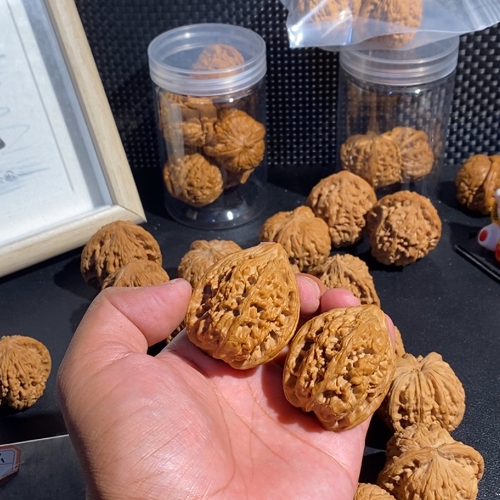 文玩核桃把件38大沽石