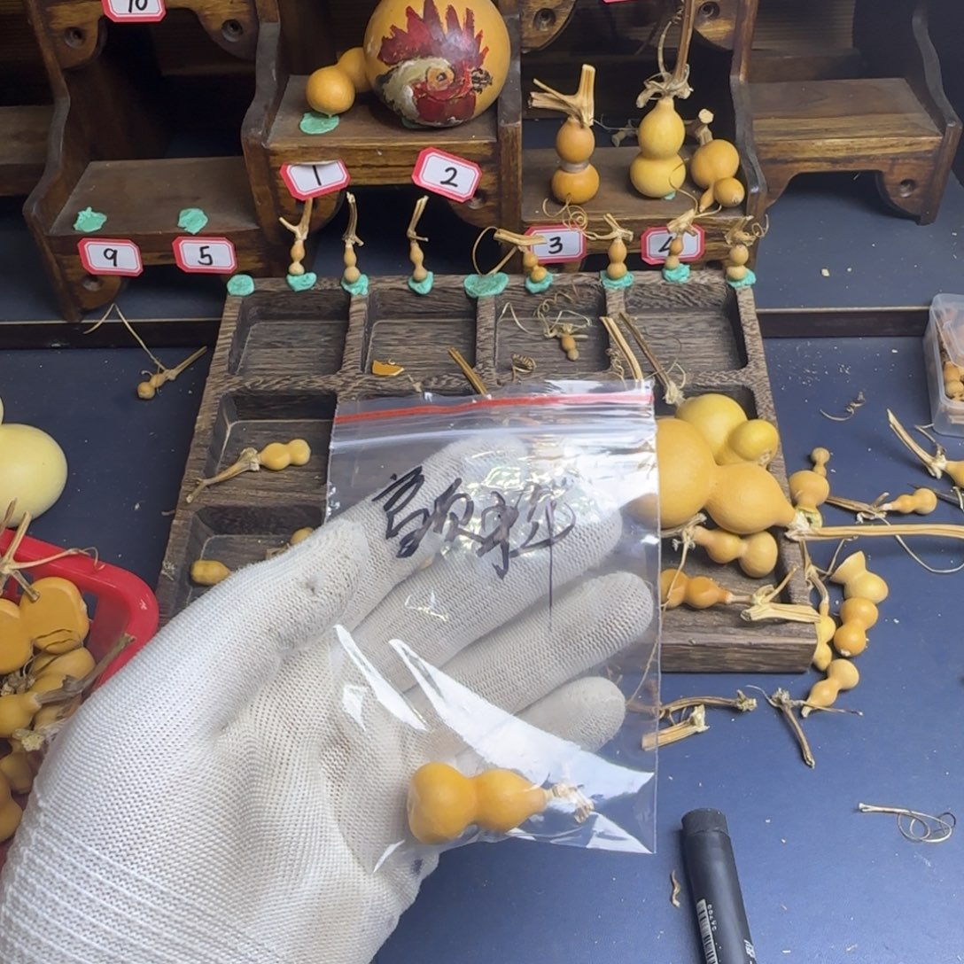 颤***物我也是很喜欢这个节目了