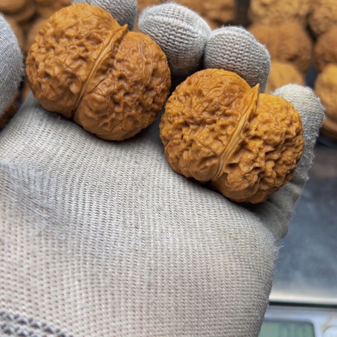 41尺寸金锭元宝一物一图