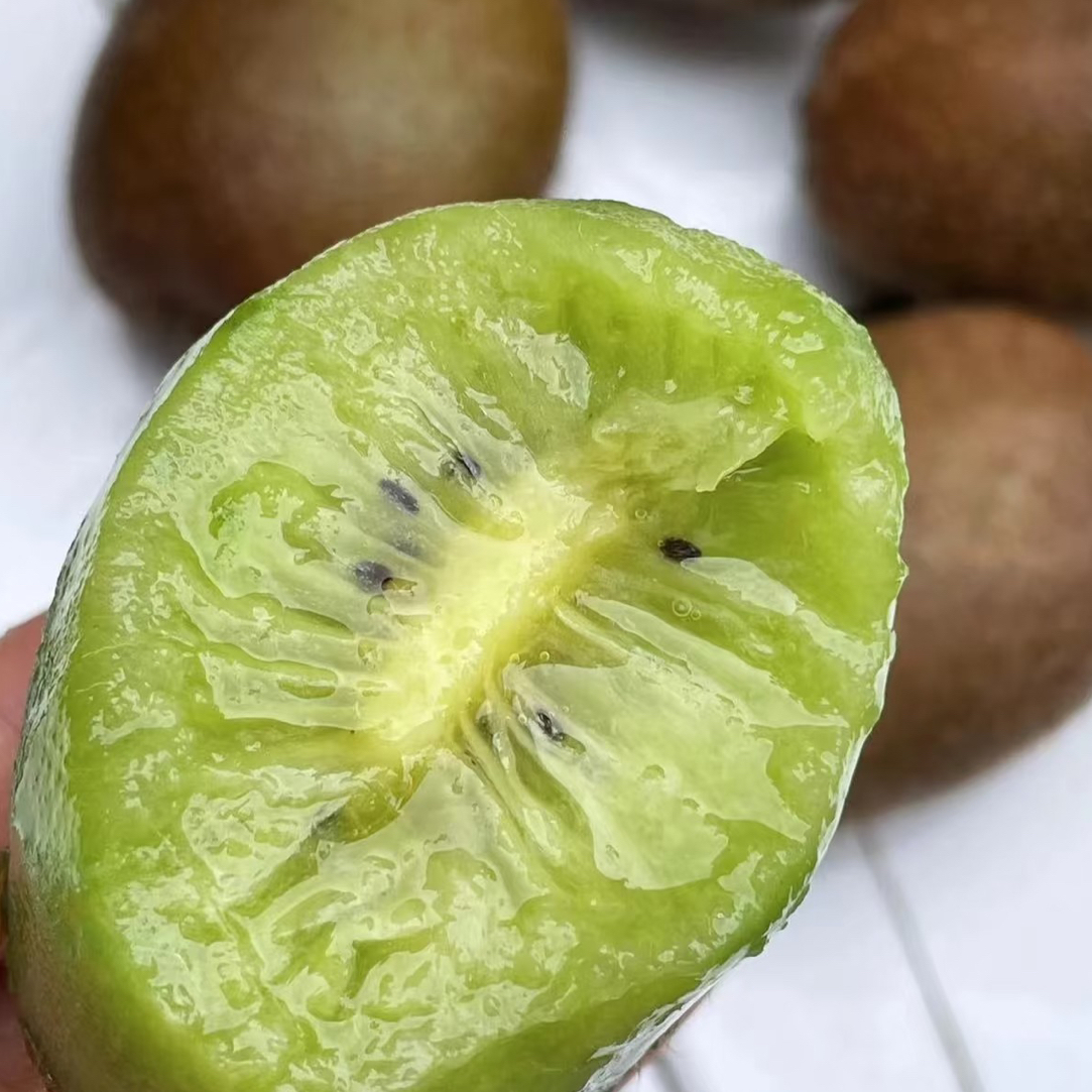 瑞玉猕猴桃一盒一斤左右需要放两头软吃陕西省