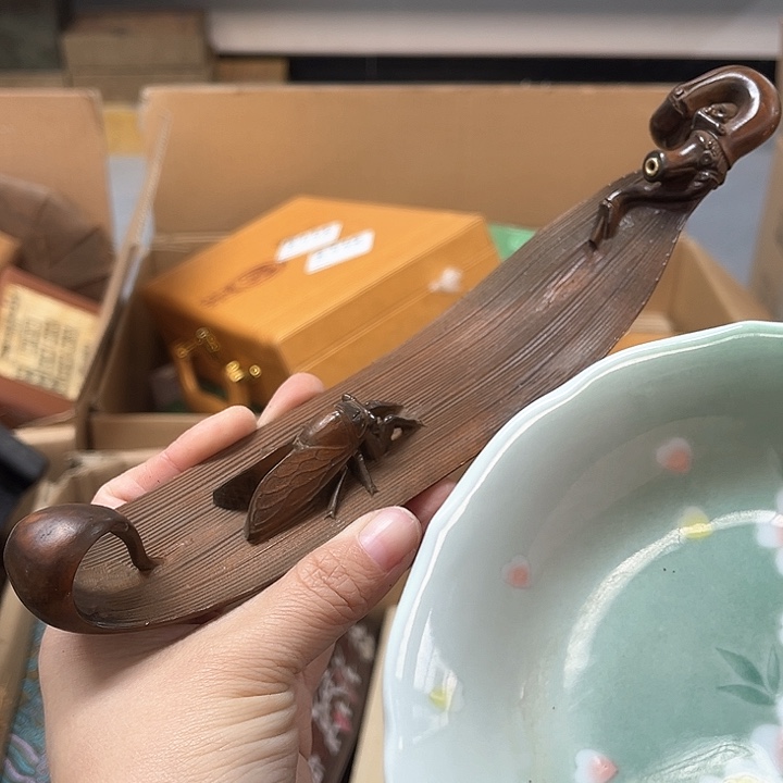我的小可爱们都好可爱啊