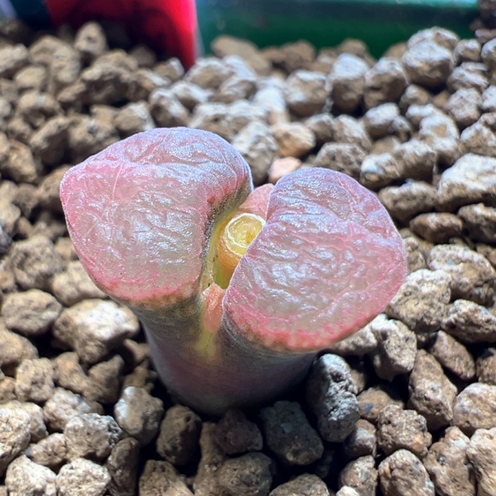 212。 优选1802。金属窗。 三角翻窗