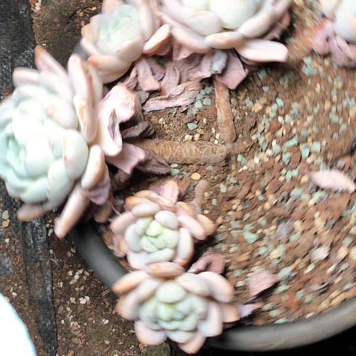 雨**滑72/////////////