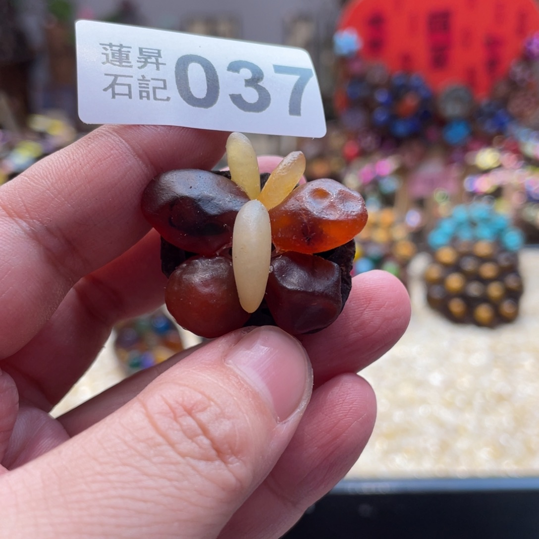 核桃木/黑胡桃（胡桃木）叶****菡037