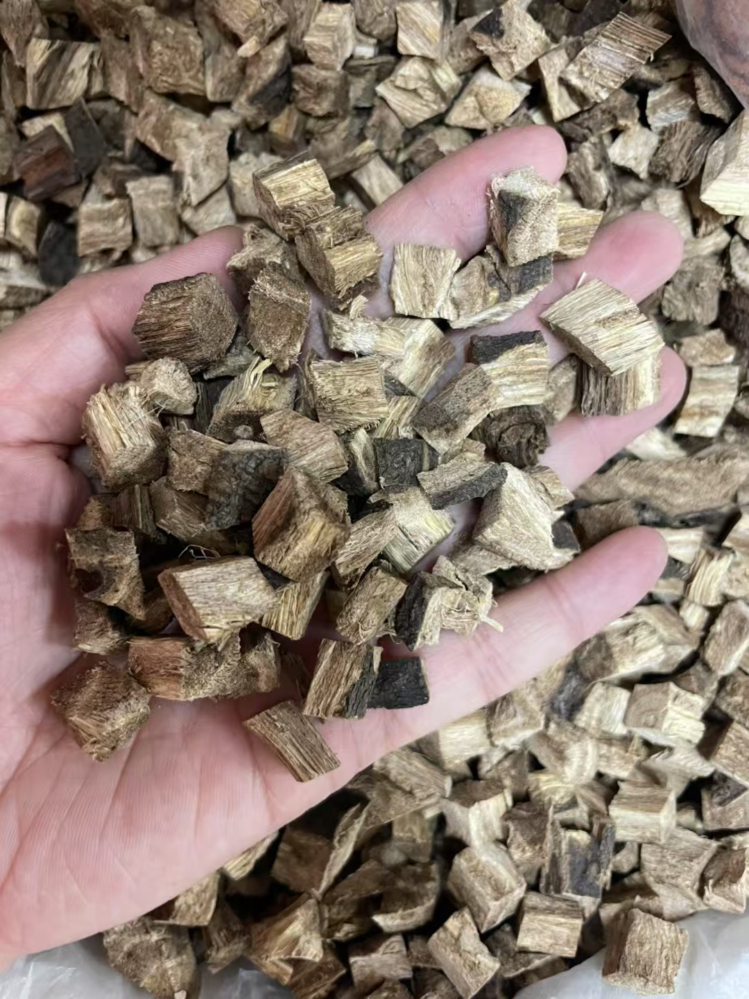 广西野生柴葛根 粉葛根 干货