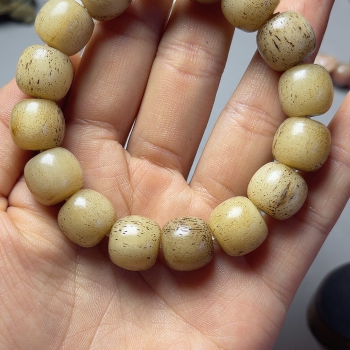 大果紫檀（缅甸花梨）