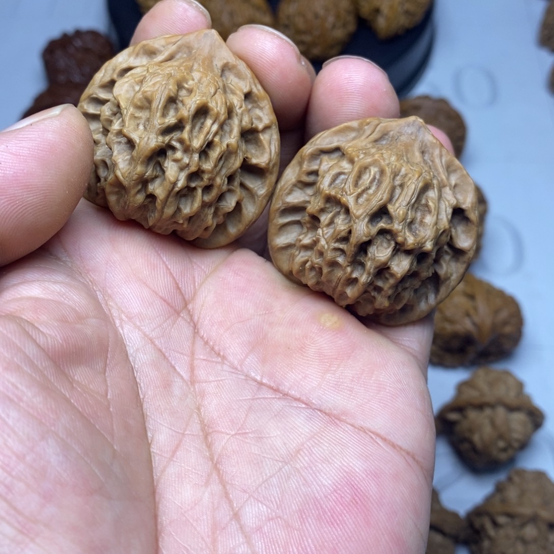 小***石大叶紫檀（黑酸枝木类）