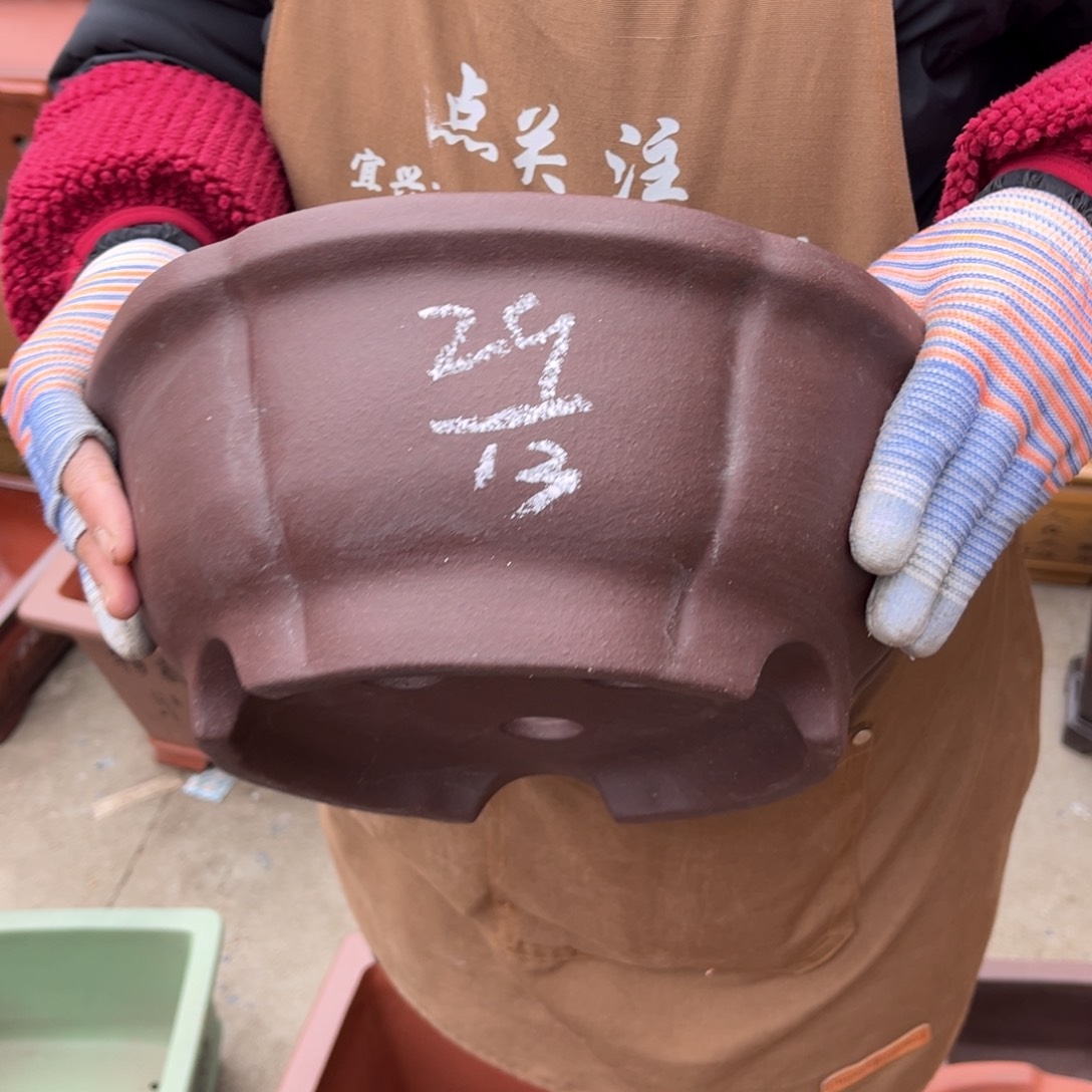 紫砂花盆盆景艺术