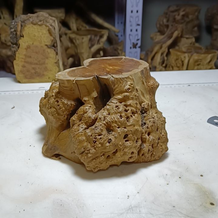 风车木（黑檀木）麻梨疙瘩底座