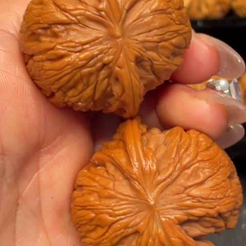 文玩核桃把件秦岭山脉的