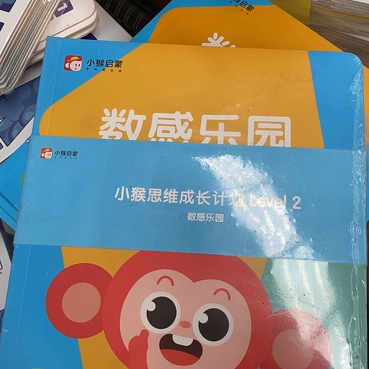 小猴启蒙数感乐园，Level2