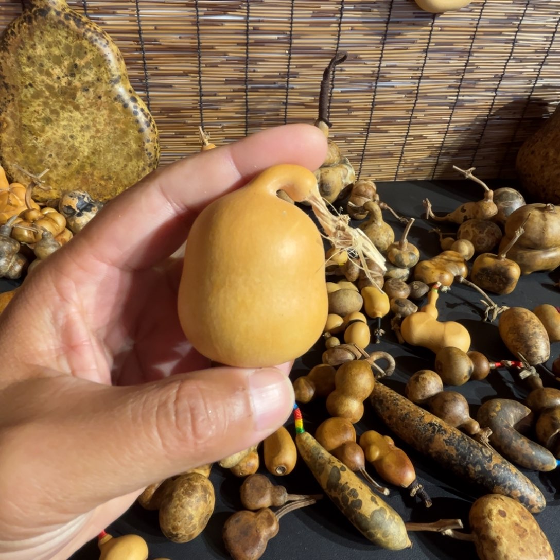 H***TPU哈哈哈哈哈哈哈哈哈哈哈哈哈哈哈